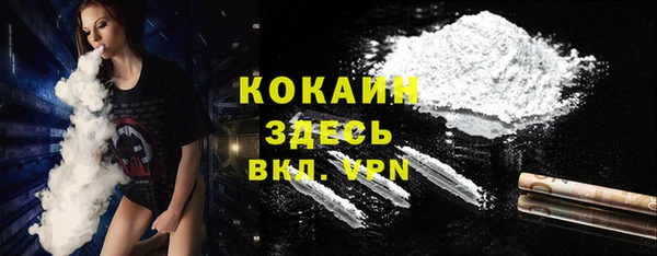 соль ск Белокуриха